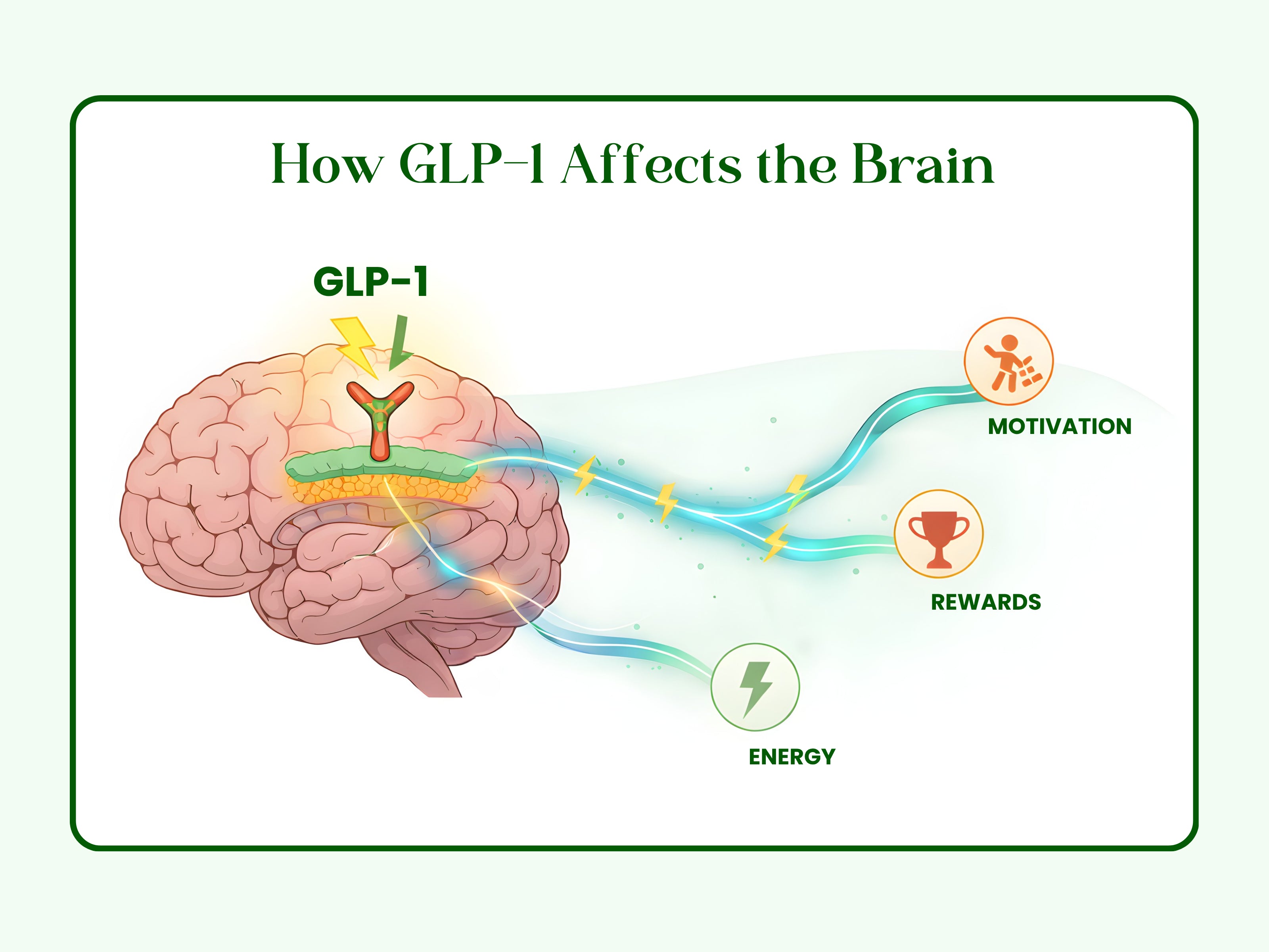 Dopamine pathway function