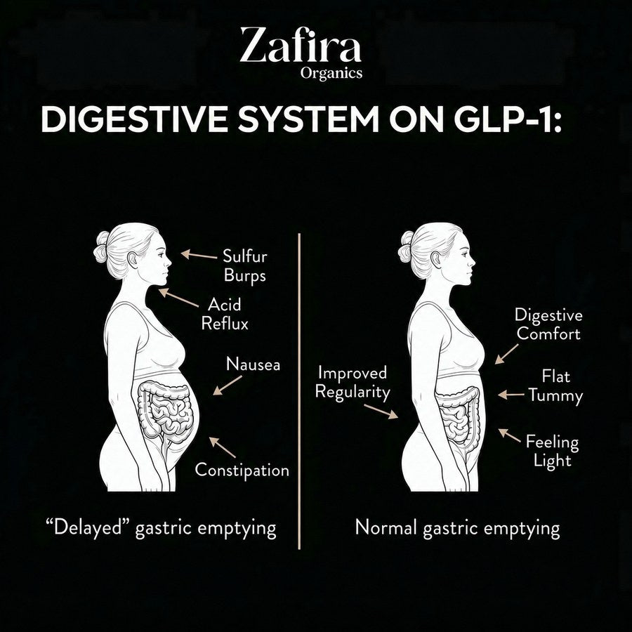Diagram comparing delayed gastric emptying on GLP-1 versus normal digestion with Zafira